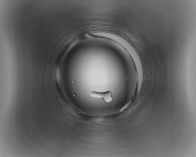 X0000112390325200908131554