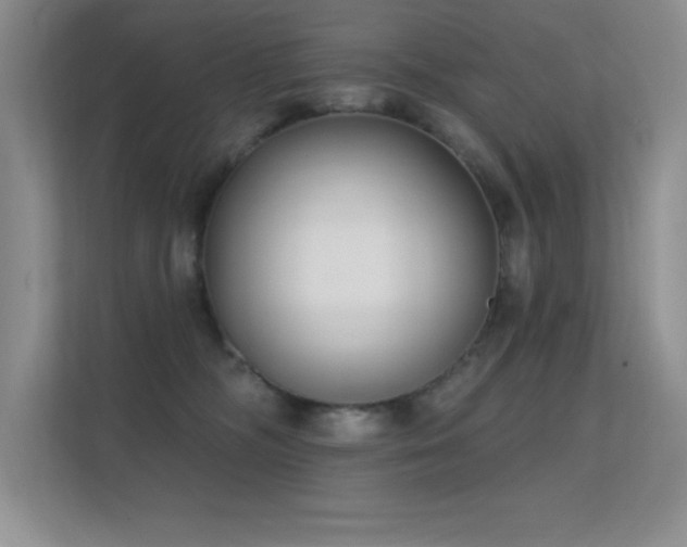 X0000112390326200908131554