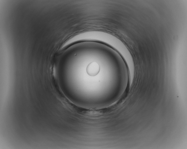 X0000112390327200908131554