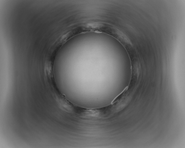 X0000112390328200908131554