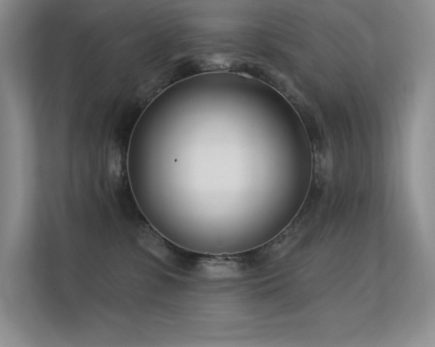 X0000112390331200908131554