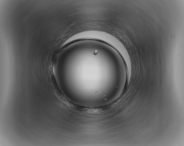 X0000112390332200908131554