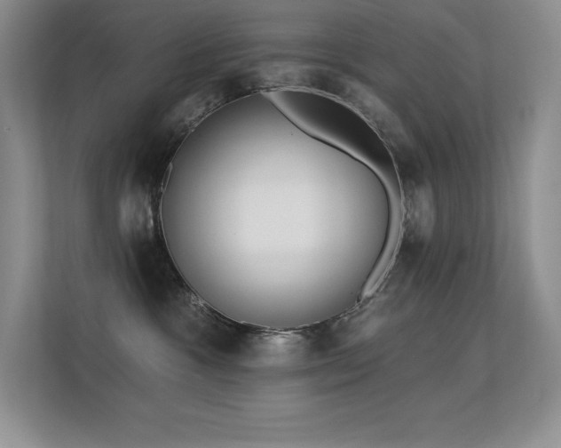 X0000112390333200908131554