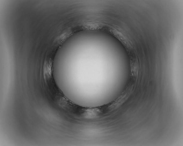 X0000112390334200908131554