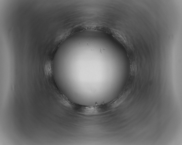 X0000112390335200908131554