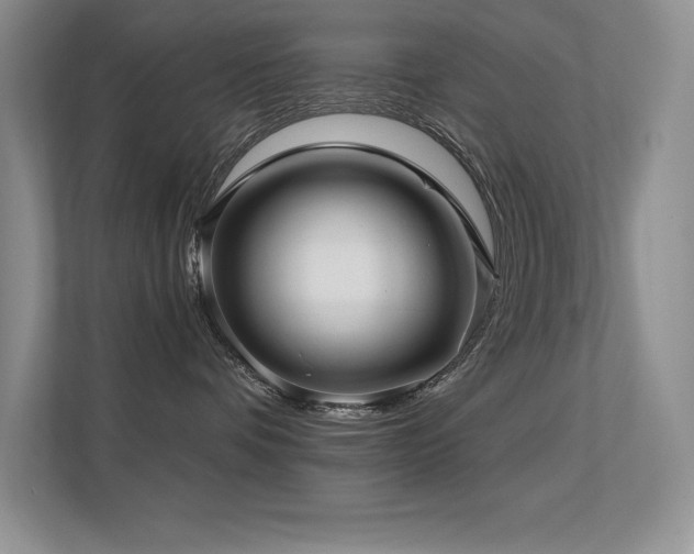 X0000112390336200908131554