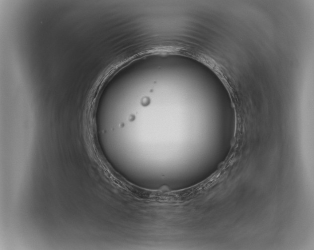 X0000112390337200908131553