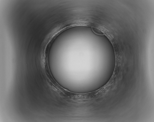 X0000112390338200908131553