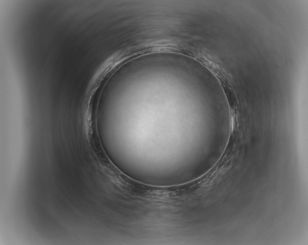 X0000112390339200908131553