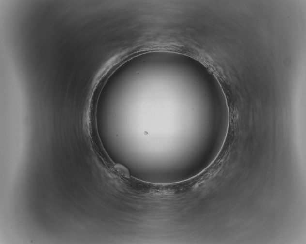 X0000112390340200908131553