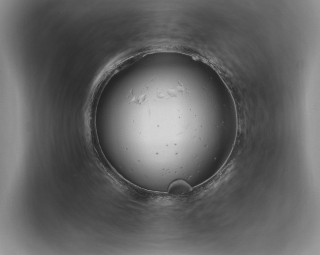 X0000112390341200908131553