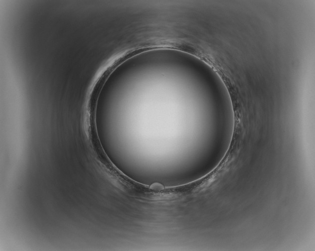 X0000112390342200908131553