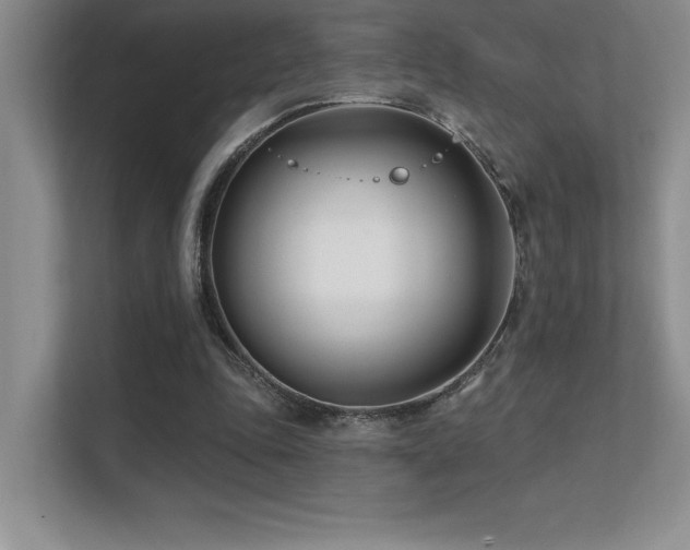 X0000112390343200908131553