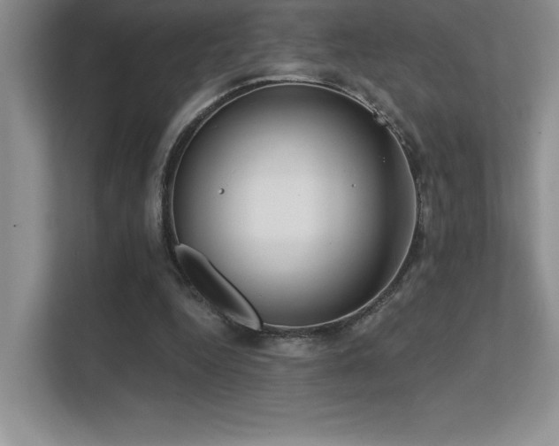 X0000112390344200908131553