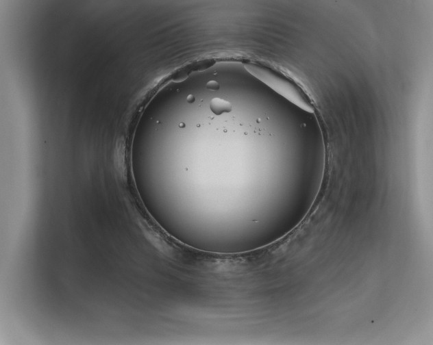 X0000112390345200908131553