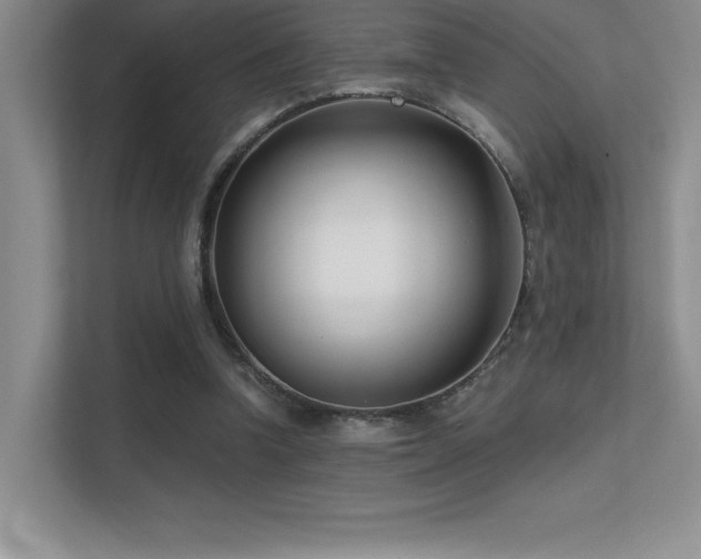 X0000112390346200908131553