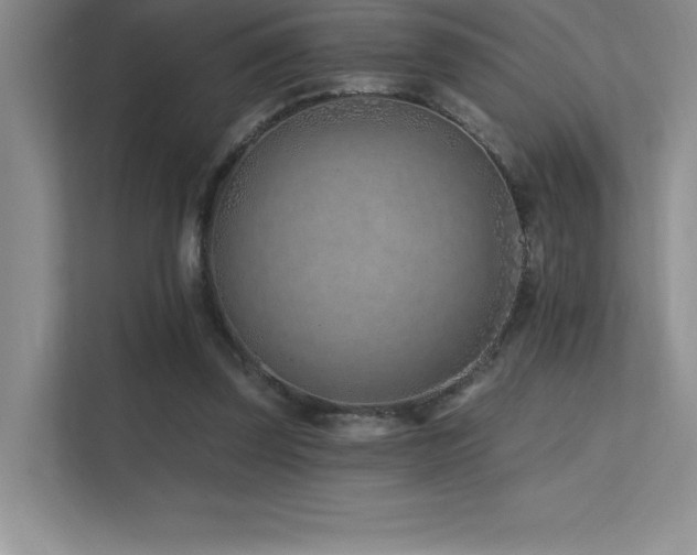 X0000112390347200908131553