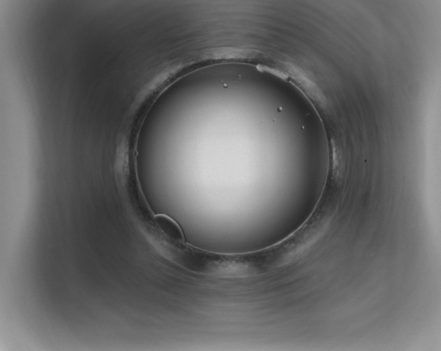 X0000112390348200908131553