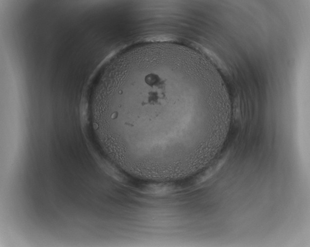 X0000112390351200908131553