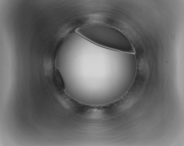 X0000112390352200908131553