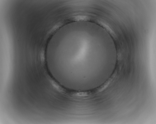 X0000112390353200908131553