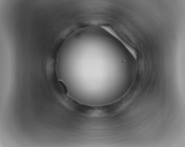 X0000112390356200908131553