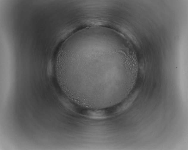 X0000112390359200908131553