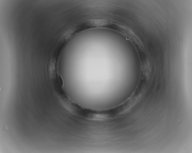 X0000112390360200908131553