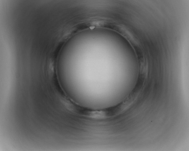 X0000112390363200908131553