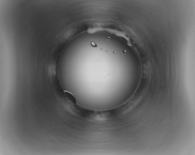 X0000112390368200908131554