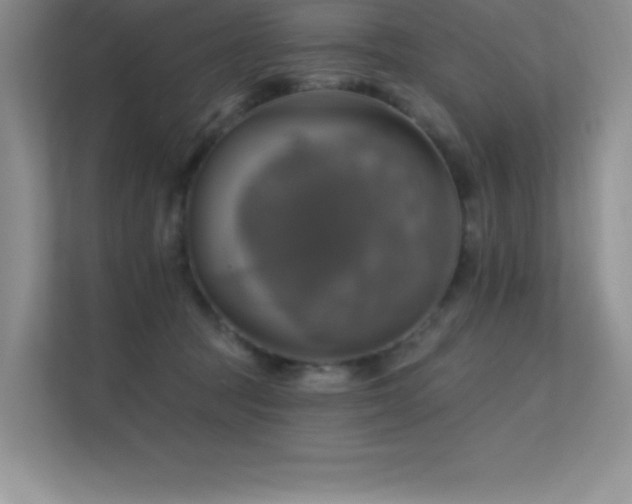 X0000112390369200908131554