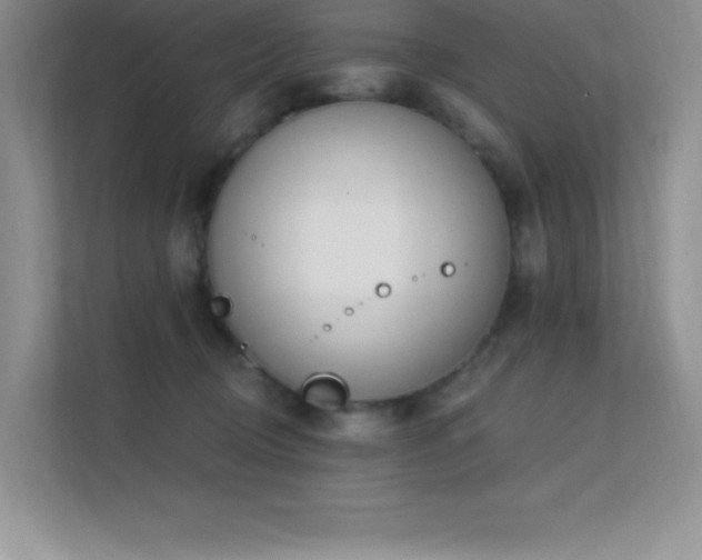 X0000112390370200908131554