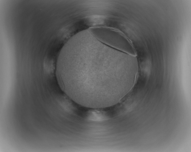 X0000112390372200908131554