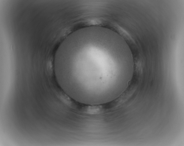 X0000112390373200908131554