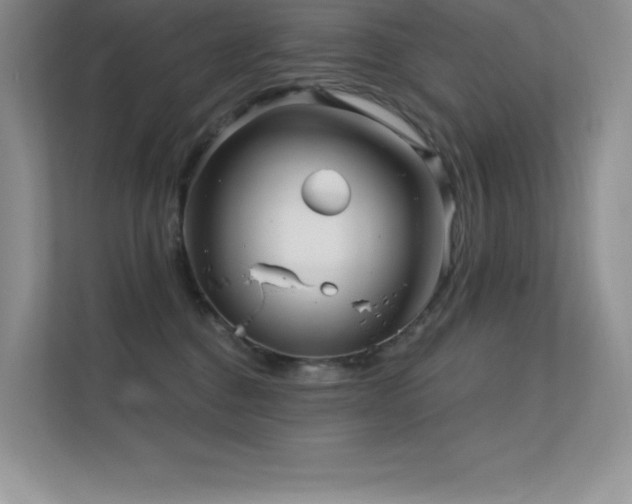 X0000112390376200908131554