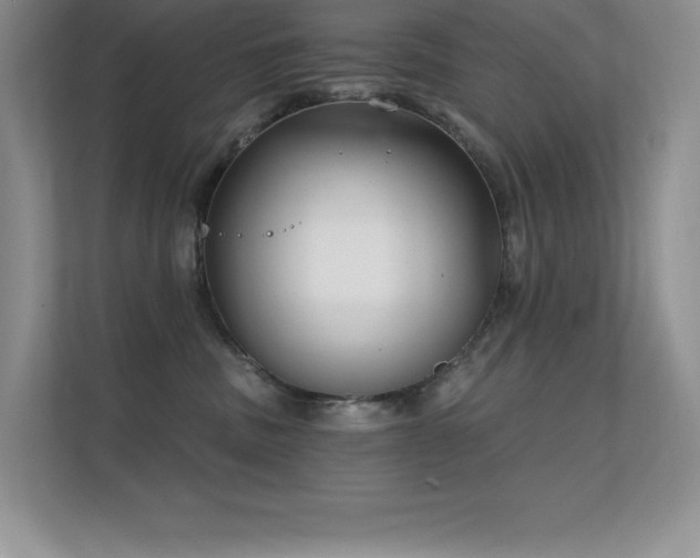 X0000112390379200908131554