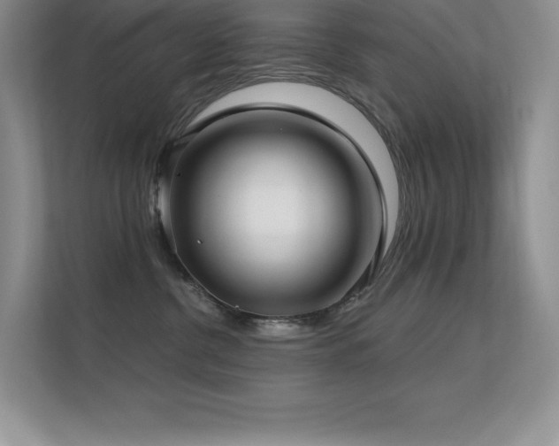 X0000112390380200908131554