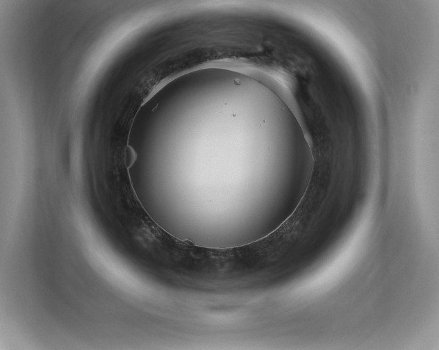 X0000112390382200908131554