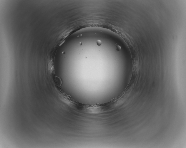 X0000112390383200908131554