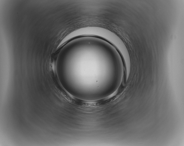 X0000112390384200908131554