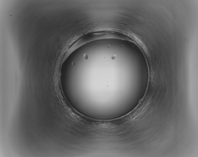 X0000112390385200908131553