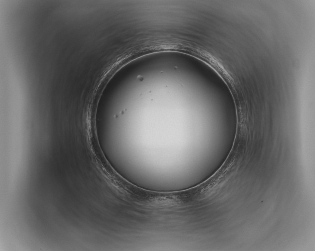 X0000112390386200908131553