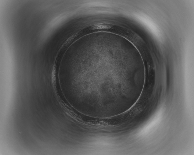 X0000112390387200908131553