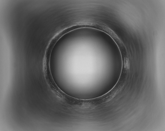 X0000112390388200908131553