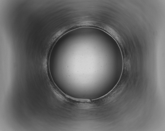 X0000112390389200908131553