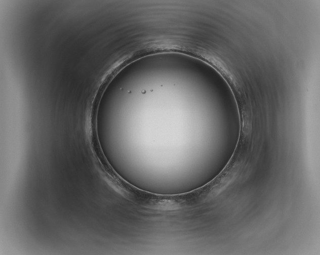 X0000112390390200908131553