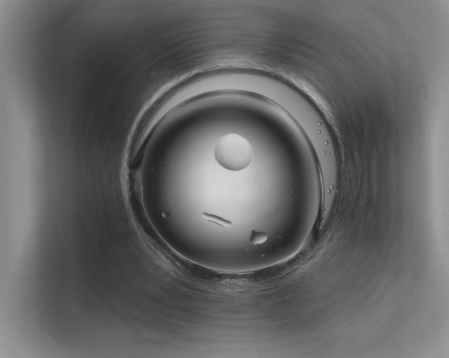 X0000112390391200908131553