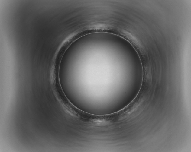 X0000112390392200908131553