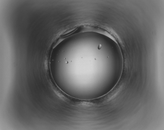 X0000112390393200908131553