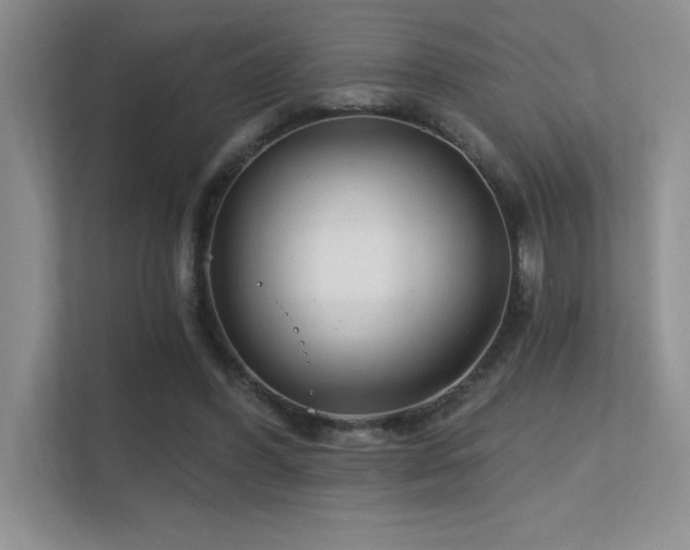 X0000112390396200908131553